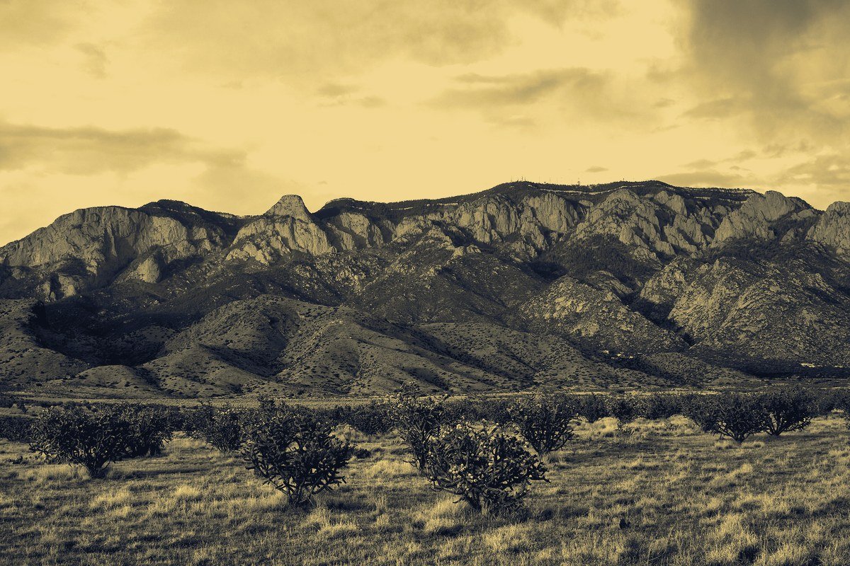 Your S Election Survives Your Bankruptcy, and So Does Your Leverage: Owoc for New Mexico Owners and Creditors