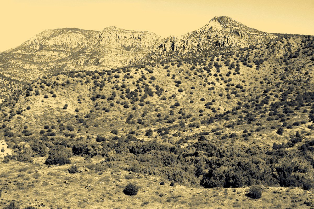Feral Cattle, a Bankrupt Rancher, and a Dead Appeal: What the Gila Case Teaches About Mootness in Tenth Circuit Bankruptcy Appeals