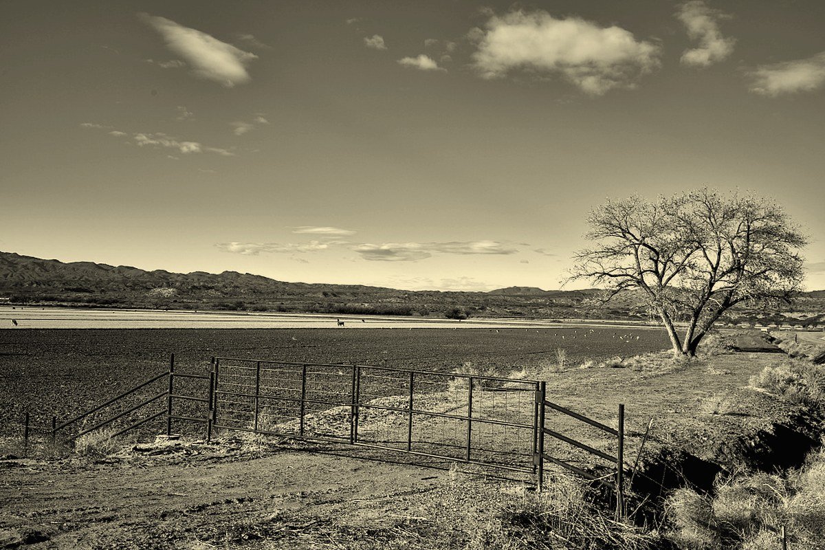 A narrow irrigation canal running through farmland near San Acacia in central New Mexico
