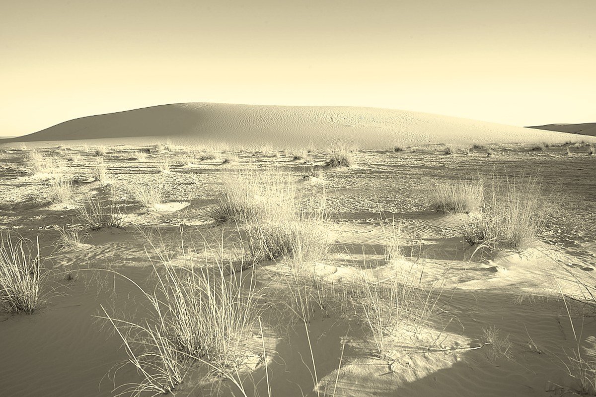 Suing a Bankruptcy Trustee in New Mexico: The Barton Doctrine After Prehired